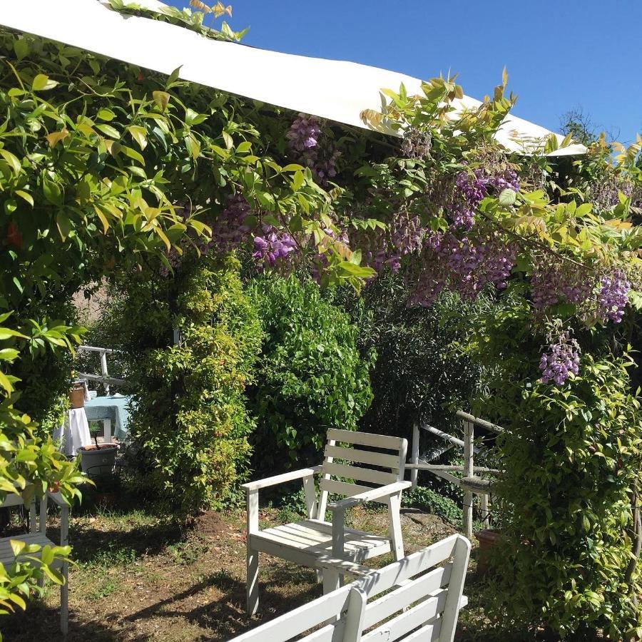 בית הארחה אפי 	Relais Il Pigno מראה חיצוני תמונה