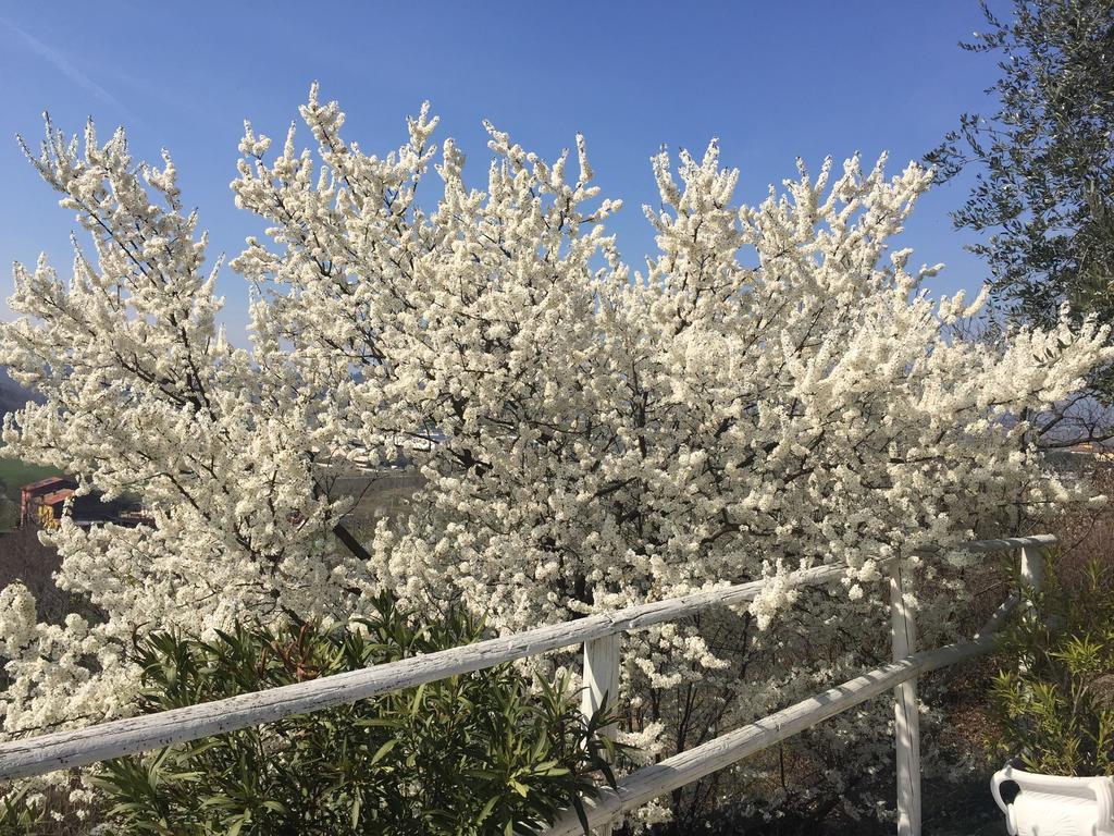 בית הארחה אפי 	Relais Il Pigno מראה חיצוני תמונה